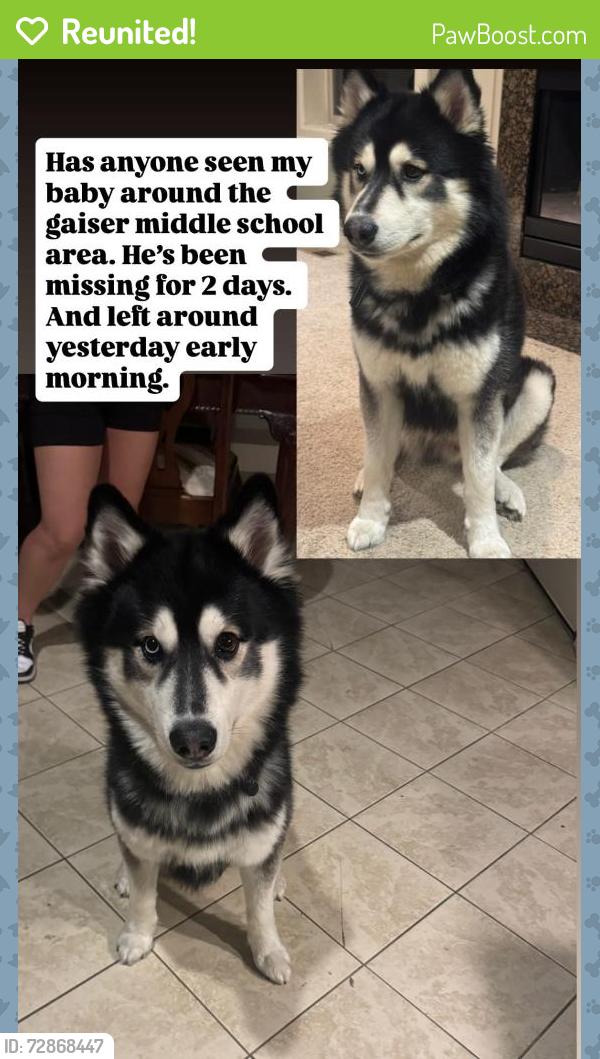 Reunited Male Dog last seen Gaiser middle school, Vancouver, WA 98686