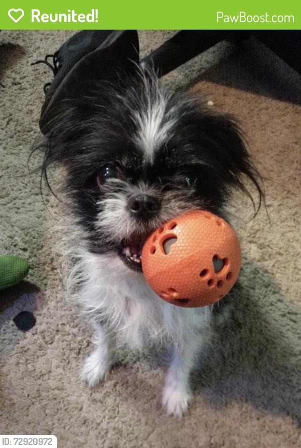 Reunited Female Dog last seen Near S Broadway Ave Wichita, Wichita, KS 67216