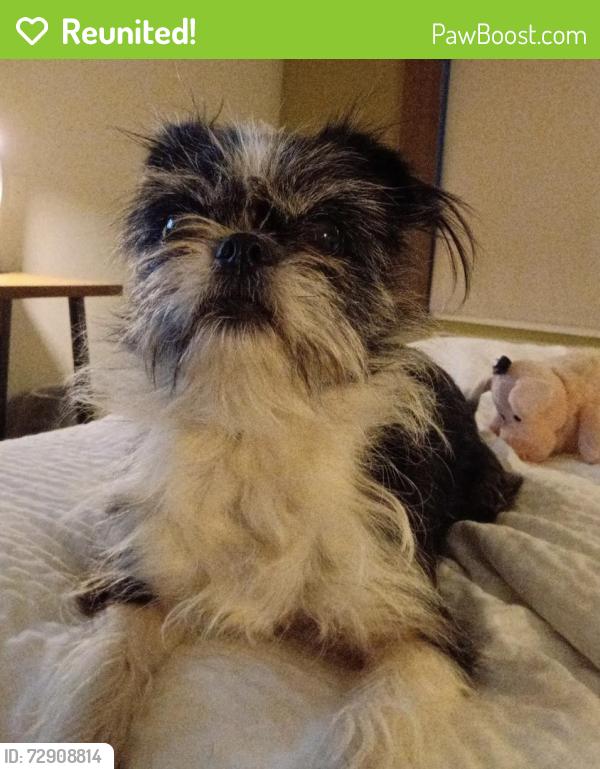 Reunited Female Dog last seen Near s broadway ave mobile home park, Wichita, KS 67216