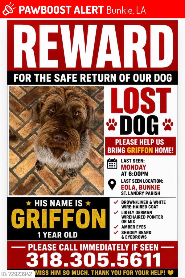 Lost Male Dog last seen Gold dust loop bunkie Louisiana , Bunkie, LA 71322