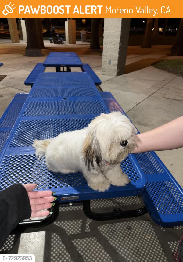 Found/Stray Male Dog last seen Bethune Park , Moreno Valley, CA 92551