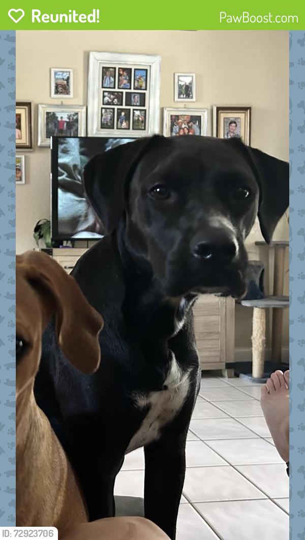 Reunited Male Dog last seen Diane ave and Rila St Se, Palm Bay, FL 32909