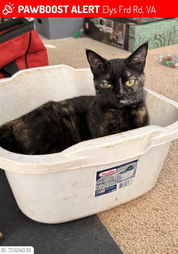 Lost Female Cat last seen Firehouse, Elys Frd Rd, VA 22736