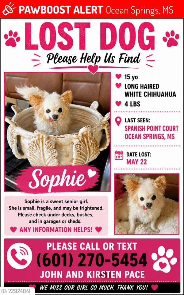 Lost Female Dog last seen Lovers Lane, Ocean Springs, MS 39564