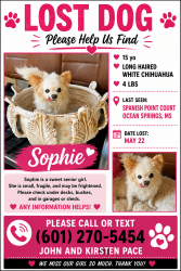Lost Female Dog last seen Lovers Lane, Ocean Springs, MS 39564