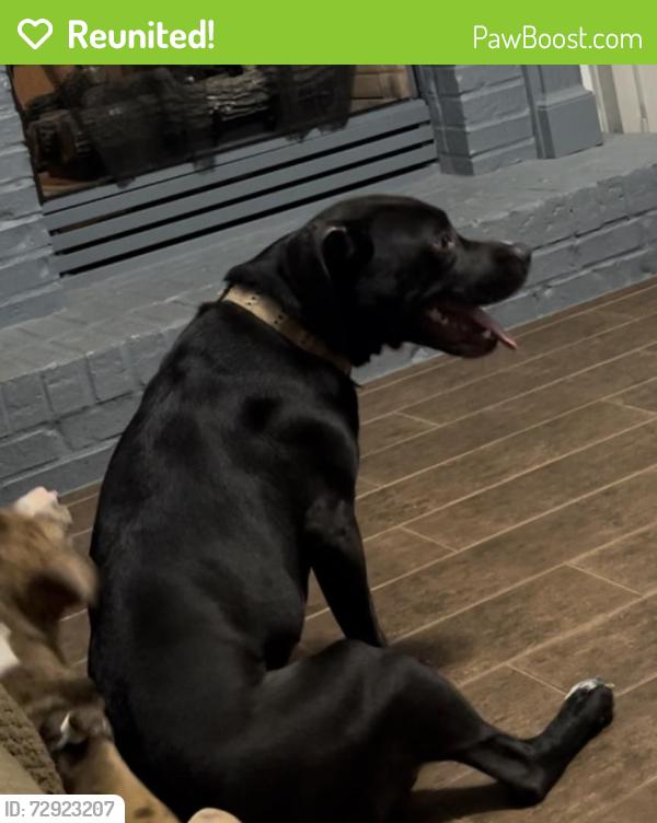 Reunited Female Dog last seen Ginger Cake, Fayetteville, GA 30214