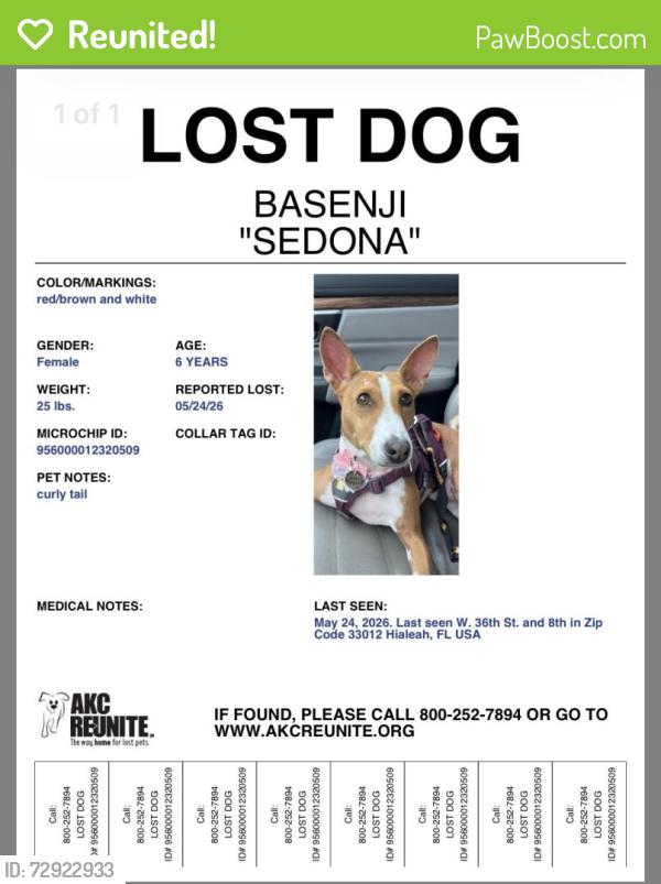 Reunited Female Dog last seen Hialeah, FL, Hialeah, FL 33012