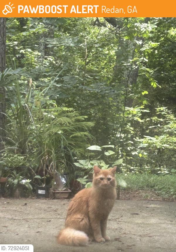 Found/Stray Unknown Cat last seen Biffle zRd, Redan, GA 30088