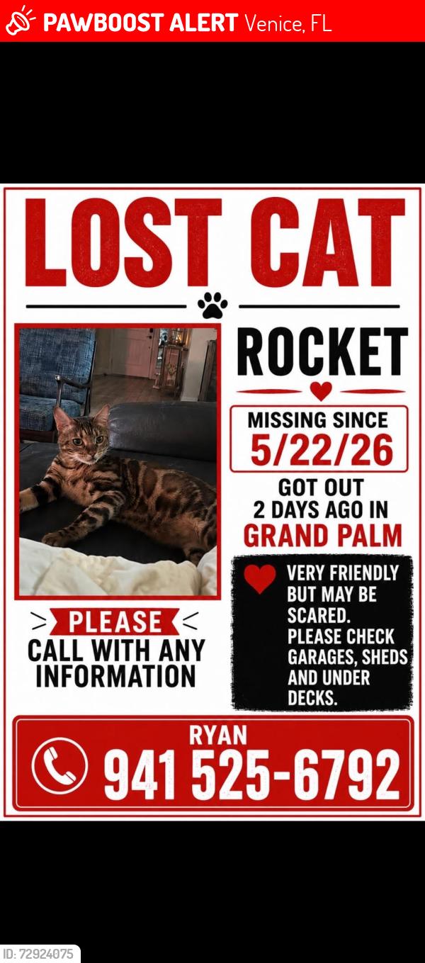 Lost Male Cat last seen Grand Palm Neighborhood , Venice, FL 34293