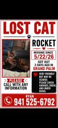 Lost Male Cat last seen Grand Palm Neighborhood , Venice, FL 34293