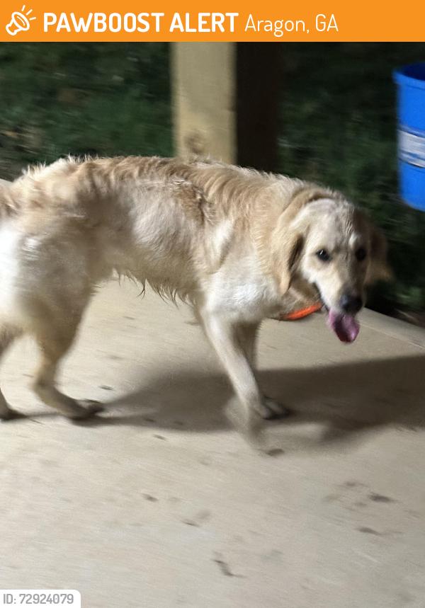 Found/Stray Male Dog last seen Polk county - close to Floyd and Bartow counties , Aragon, GA 30104