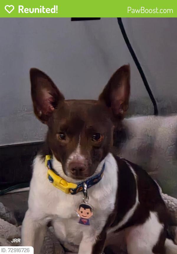 Reunited Male Dog last seen Near Whisper Creek Ct Linden NC 28356, Linden, NC 28356