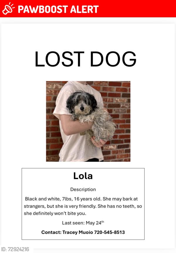 Lost Female Dog last seen Winterthur Way & Broadway, Highlands Ranch, CO 80129