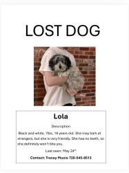 Lost Female Dog last seen Winterthur Way & Broadway , Highlands Ranch, CO 80129