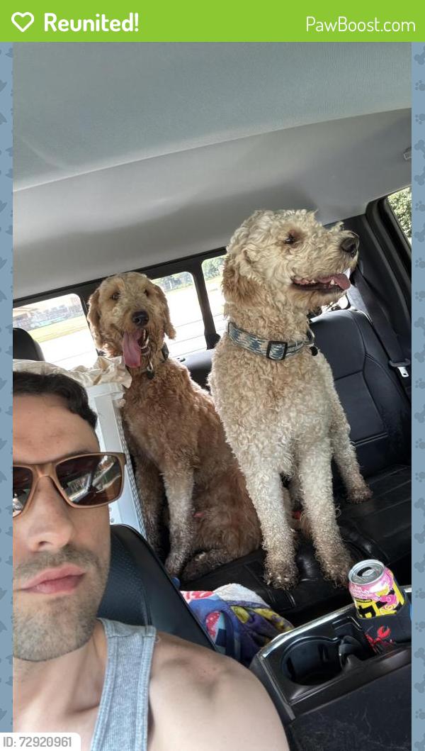 Reunited Male Dog last seen Kuykendahl Rd. and Rhodes Rd. , Houston, TX 77379