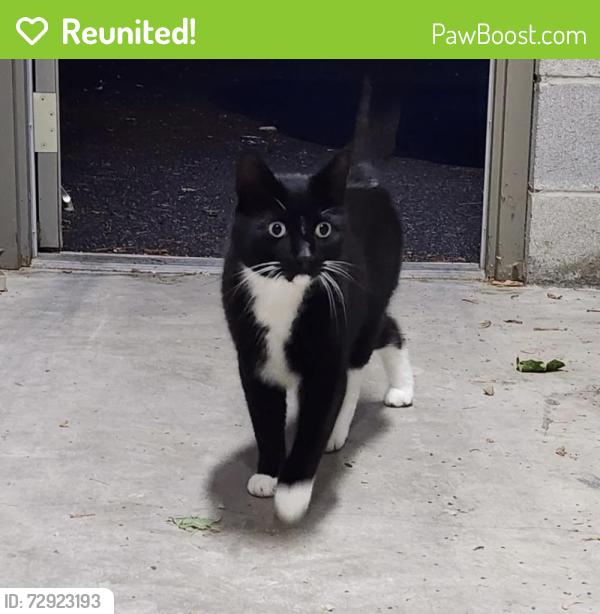 Reunited Unknown Cat last seen Near Wilmimgton West Chester Pike, Concord Township, PA 19340