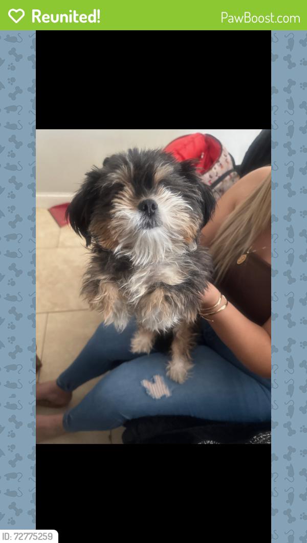 Reunited Female Dog last seen Broadway and Crismon, Mesa, AZ 85208