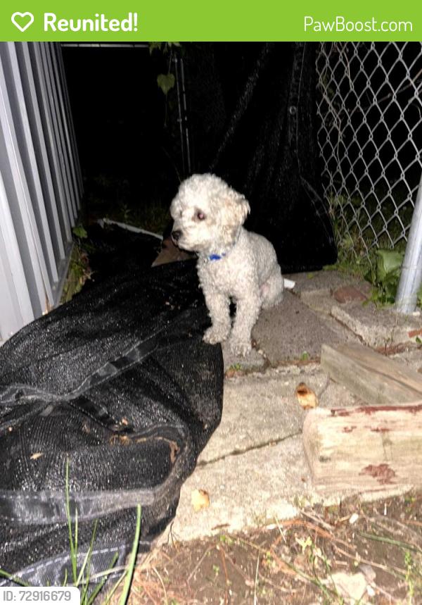 Reunited Male Dog last seen Bristol twp police station , Bristol, PA 19007
