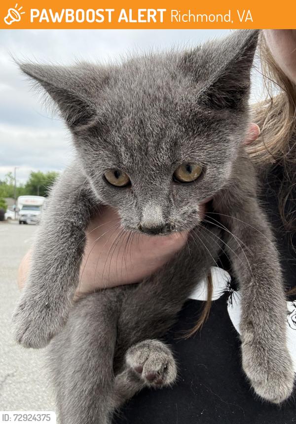 Found/Stray Female Cat last seen The James apmts , Richmond, VA 23222