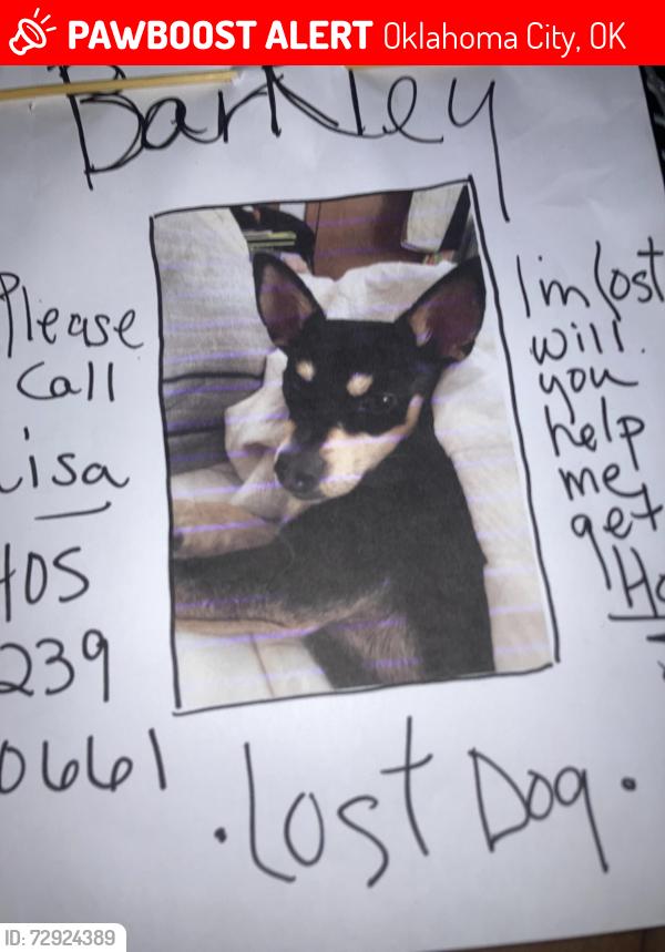 Lost Male Dog last seen Near n villa, okc 73112, Oklahoma City, OK 73116