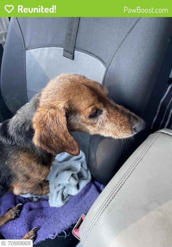 Reunited Male Dog last seen Hardy Rd, Bedford County, VA 24095
