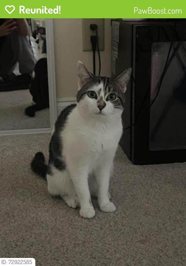 Reunited Male Cat last seen Manning gin rd, Monroe, GA 30656