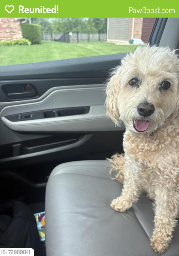 Reunited Female Dog last seen Willow Lake East, Greenwood, IN 46143