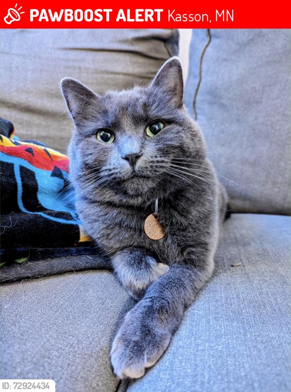 Lost Female Cat last seen Near kasson public works, Kasson, MN 55944