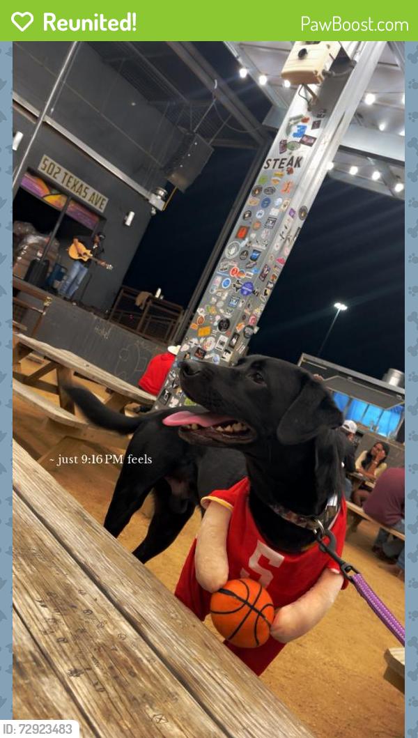 Reunited Male Dog last seen 38th and flint, Lubbock, TX 79413