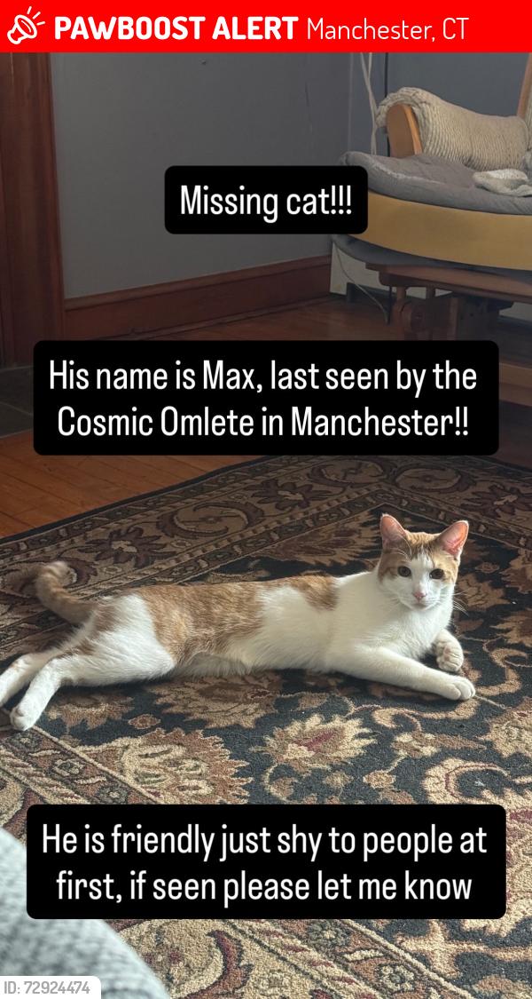 Lost Male Cat last seen Cosmic omlet, Manchester, CT 06040