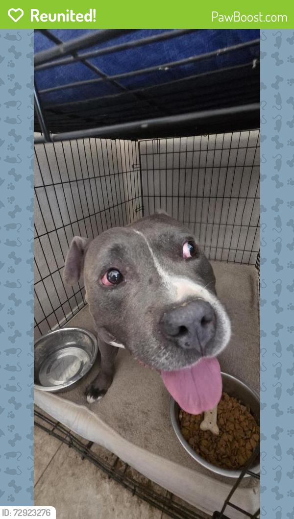 Reunited Male Dog last seen Vista del Norte and Osuna, Albuquerque, NM 87113