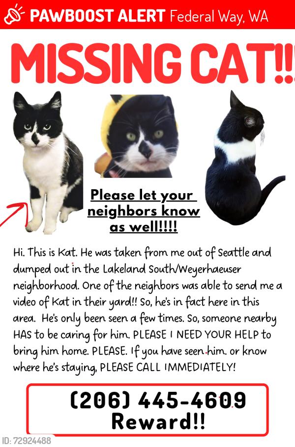 Lost Male Cat last seen 26th Ave South, Federal Way, WA 98001