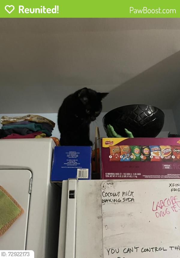Reunited Male Cat last seen Carmel Rd, Richmond, VA 23228