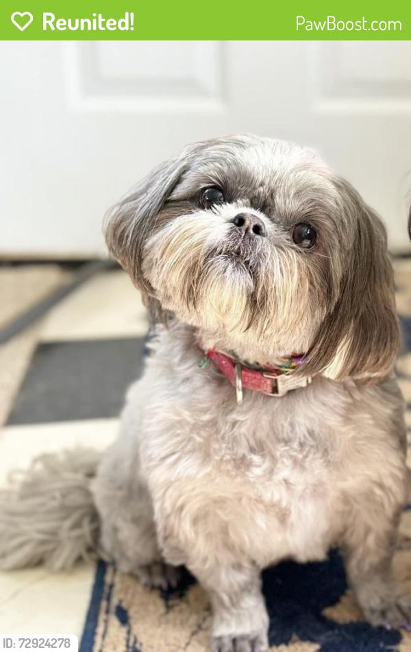 Reunited Female Dog last seen Piper Park, Sherman Rd, Radley St., Battle Creek, MI 49017