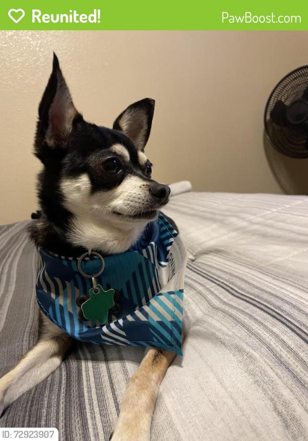 Reunited Male Dog last seen Water Buck Run / Spring Buck Run, Fort Worth, TX 76179
