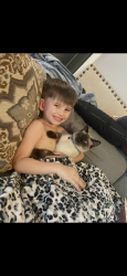 Lost Male Cat last seen Gardere area. Pecan tree dr Baton Rouge , Baton Rouge, LA 70810