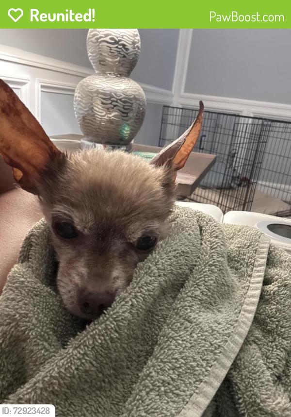 Reunited Male Dog last seen Oak bay dr w, Jacksonville, FL 32277