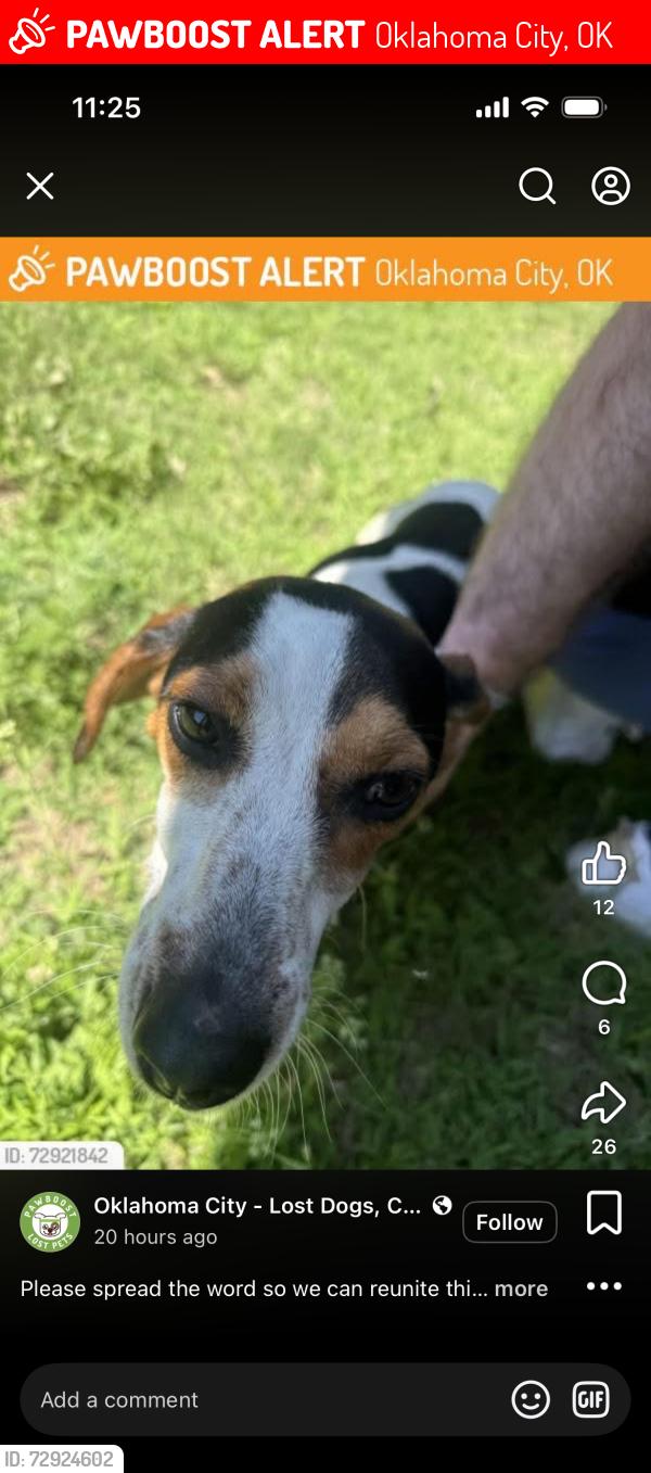 Lost Female Dog last seen 89th walker , Oklahoma City, OK 73139