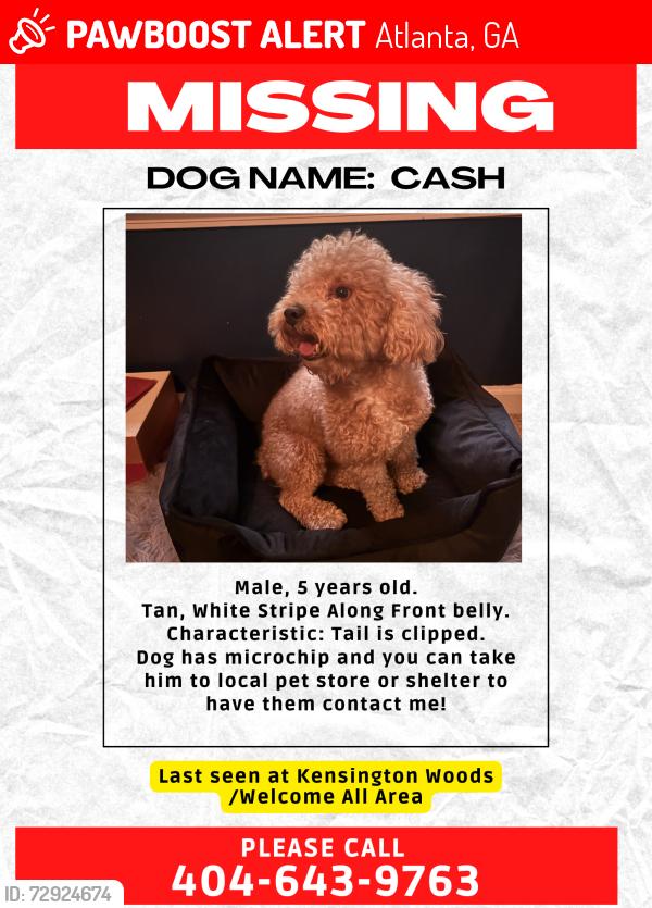 Lost Male Dog last seen Kenwood Trail/Welcome All, Atlanta, GA 30349