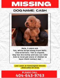 Lost Male Dog last seen Kenwood Trail/Welcome All, Atlanta, GA 30349