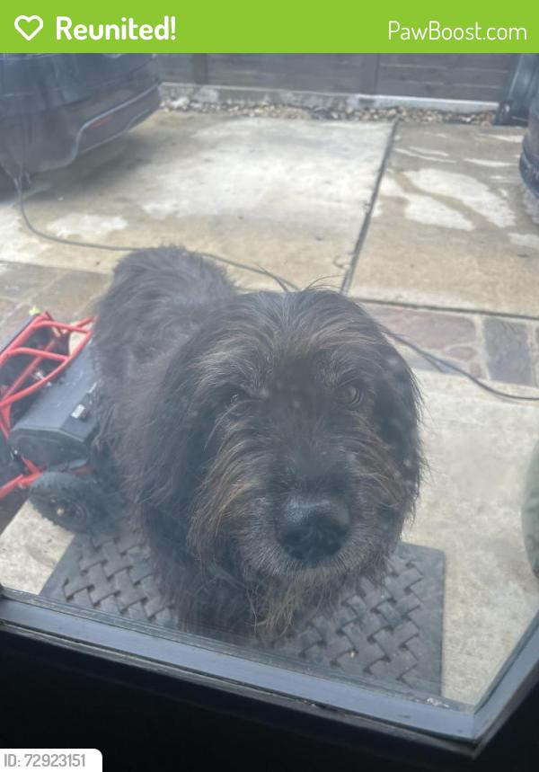Reunited Male Dog last seen north new Braunfels, San Antonio, TX 78209