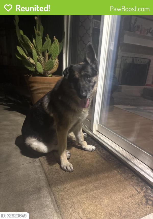 Reunited Female Dog last seen Brooktree Park, Citrus Heights, CA 95621