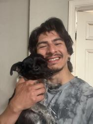 Reunited Male Dog last seen Sunnylane and lunow, Oklahoma City, OK 73135