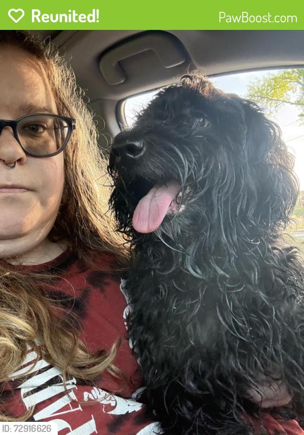 Reunited Male Dog last seen Near cemetery , Wilmington, NC 28408