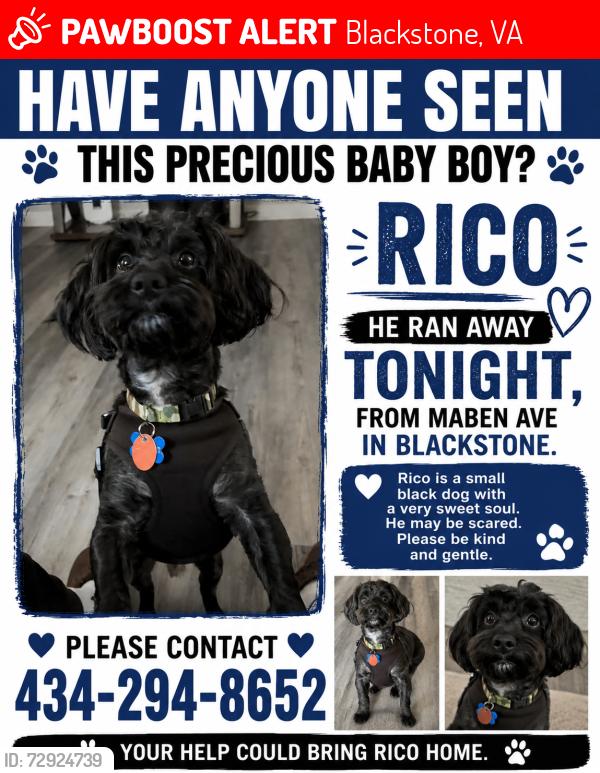 Lost Male Dog last seen Courthouse rd , Blackstone, VA 23824