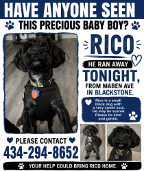 Lost Male Dog last seen Courthouse rd , Blackstone, VA 23824