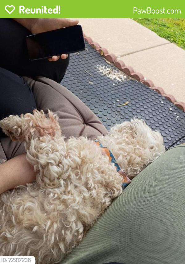 Reunited Male Dog last seen kathlyn , Berkeley, MO 63134