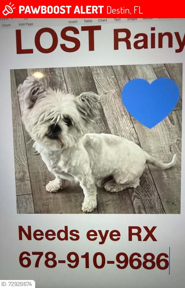 Lost Male Dog last seen Kelly St, Destin, FL 32541