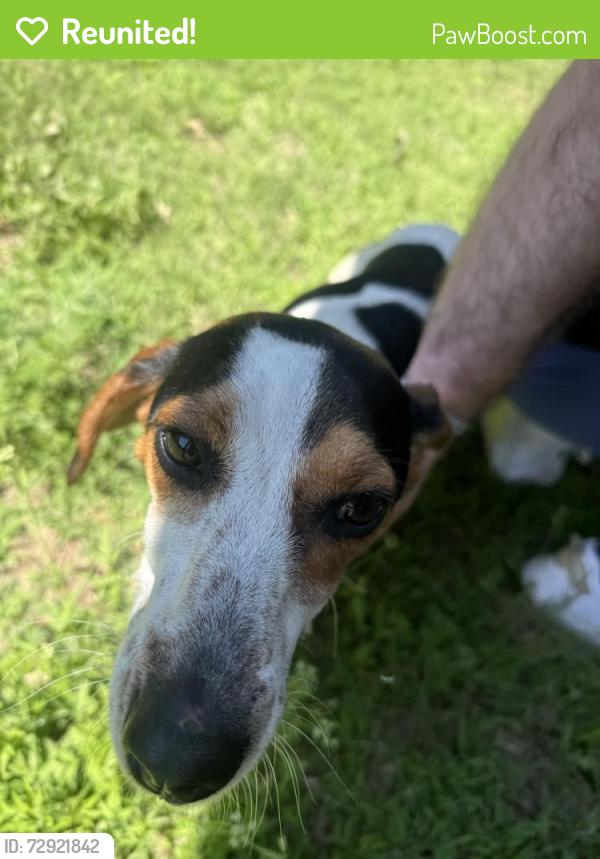 Reunited Female Dog last seen Sw 93rd and Walker , Oklahoma City, OK 73139