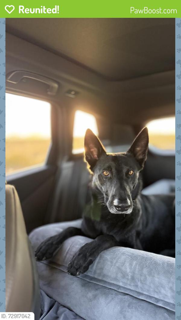 Reunited Male Dog last seen 67th and Thunderbird, Scottsdale, AZ 85254
